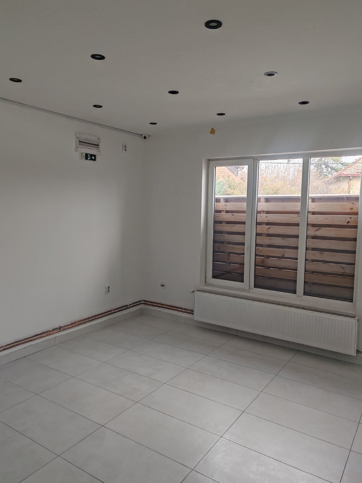 viber_image_2025-12-17_12-50-07-069