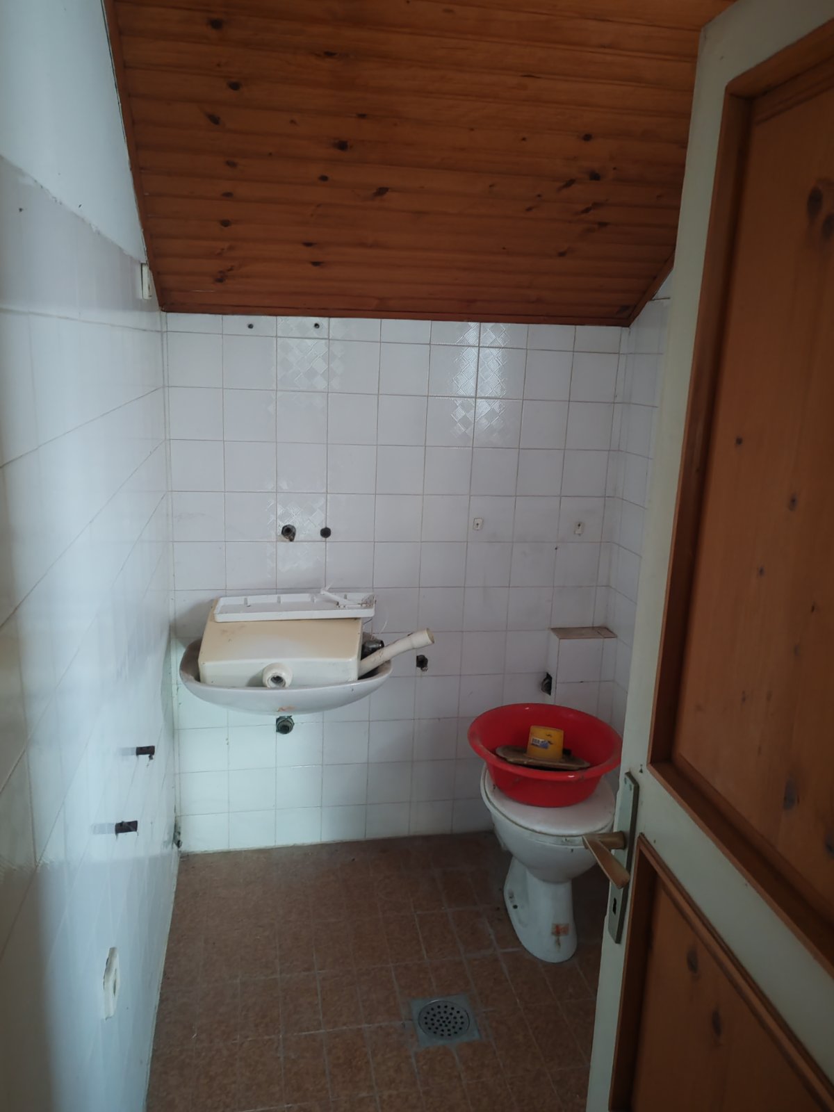 viber_image_2025-12-28_20-56-43-379