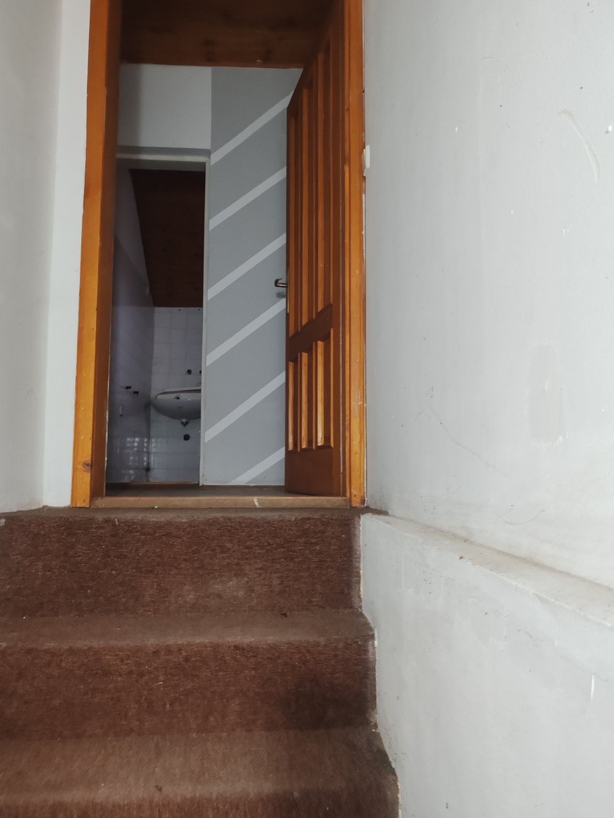 viber_image_2025-12-28_20-56-43-825