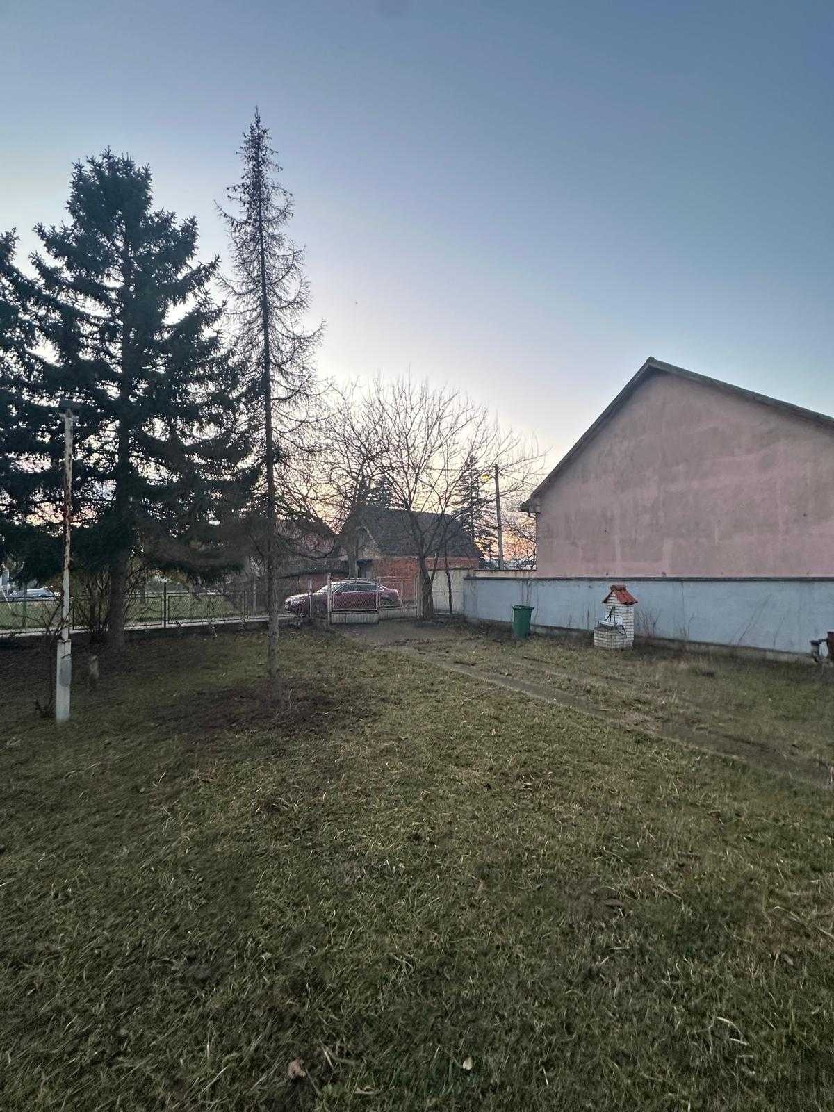 viber_image_2025-12-28_20-56-48-398