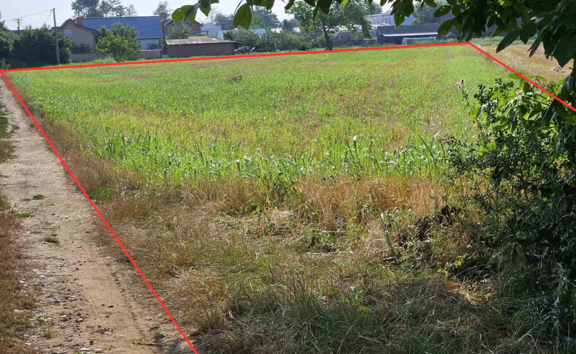 viber_slika_2025-12-10_08-14-33-686