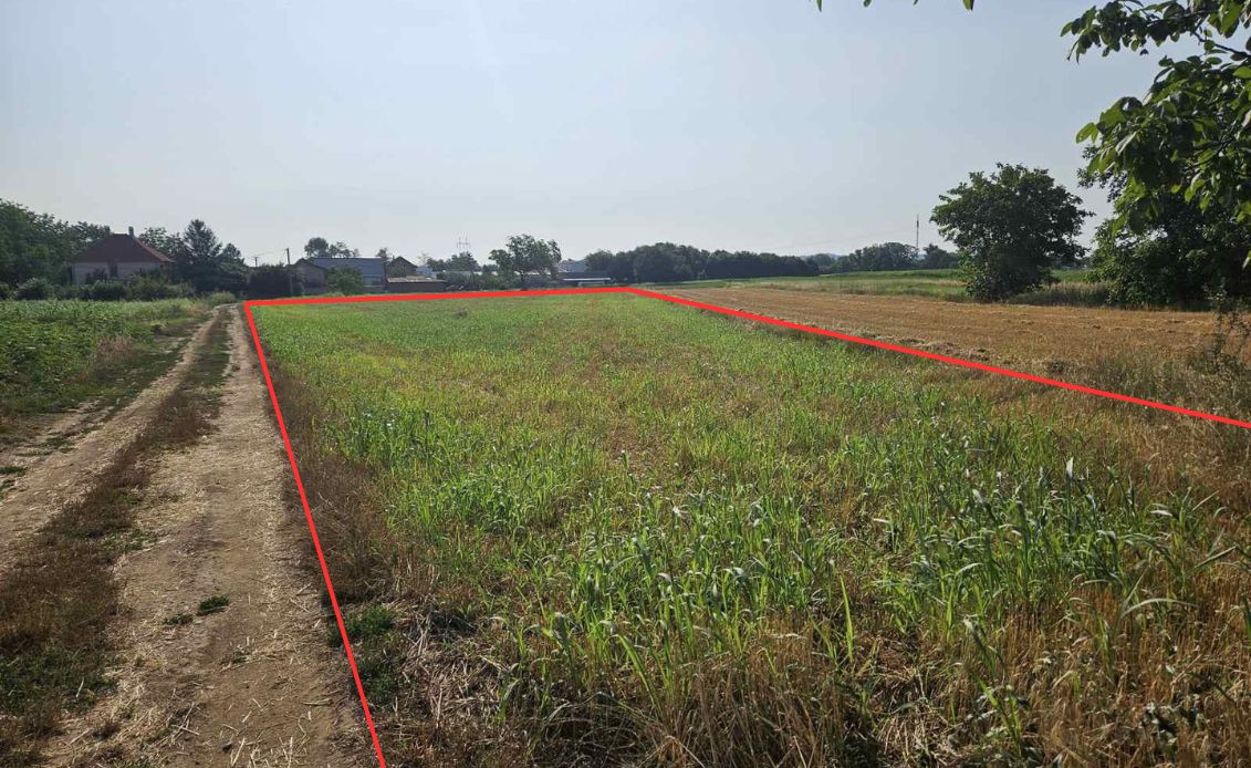 viber_slika_2025-12-10_08-14-34-586