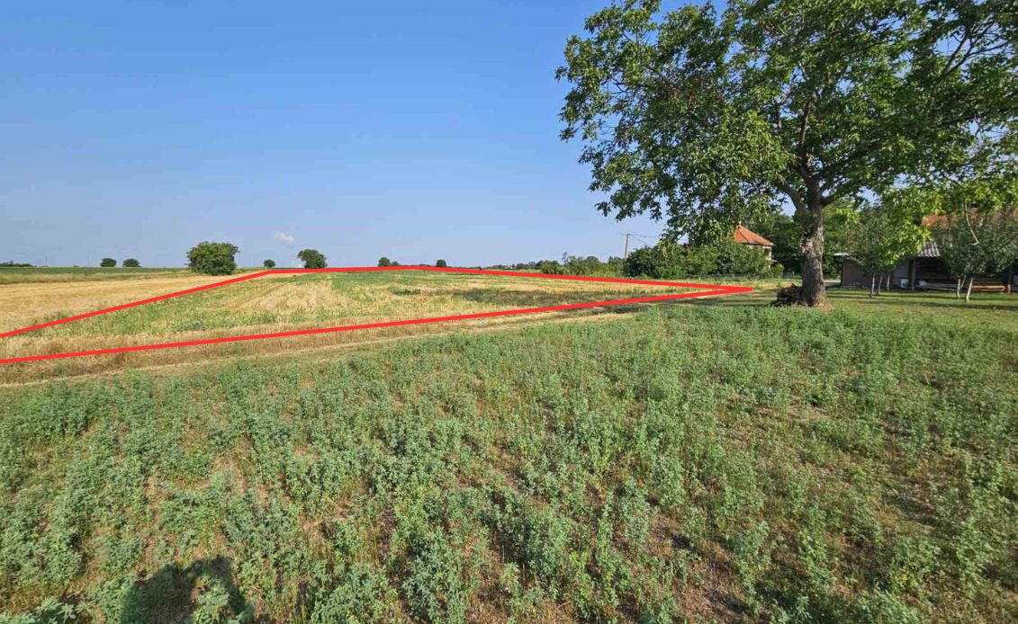 viber_slika_2025-12-10_08-14-35-494