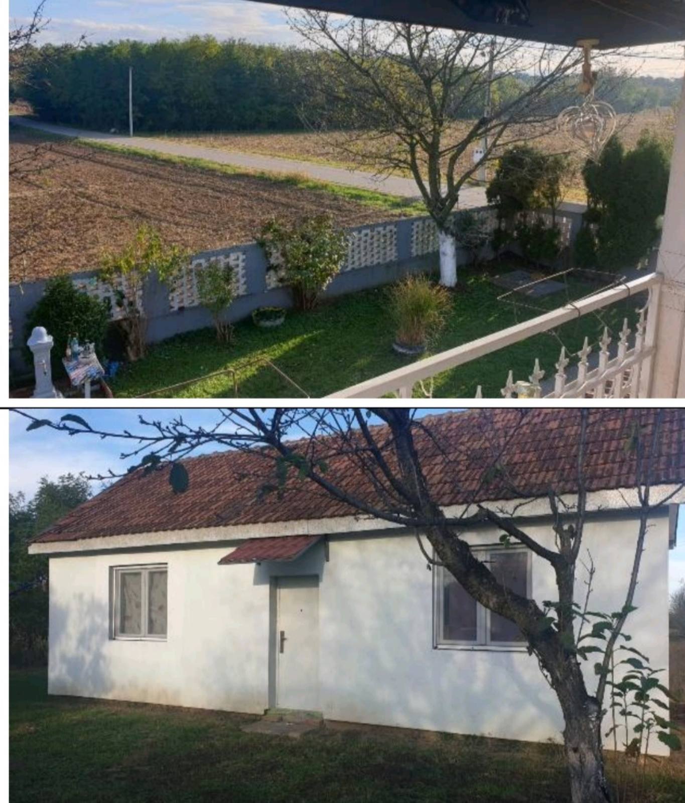 viber_image_2026-01-03_15-21-07-349