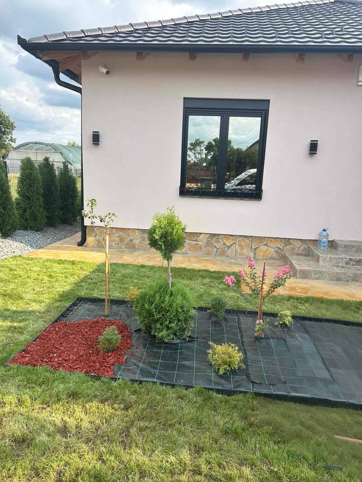 viber_image_2026-01-18_20-34-51-834