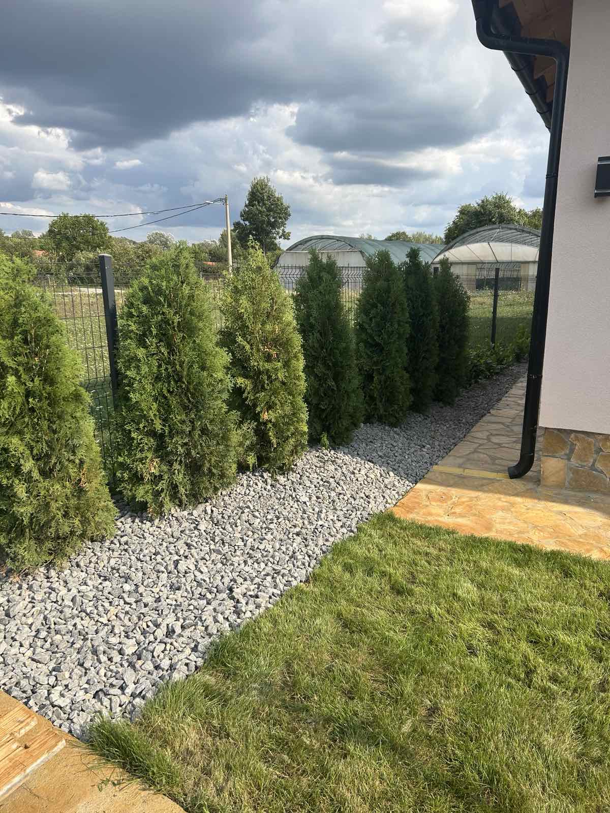 viber_image_2026-01-18_20-34-51-846