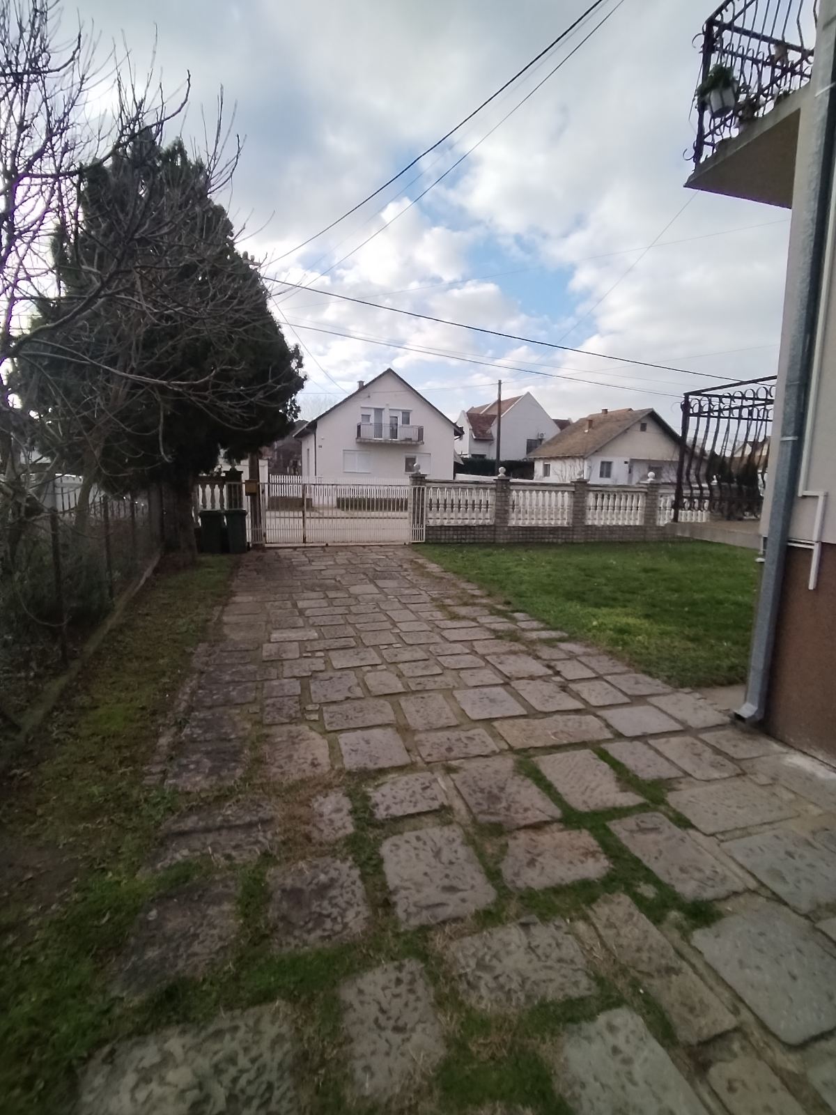 viber_image_2026-01-19_12-42-47-586