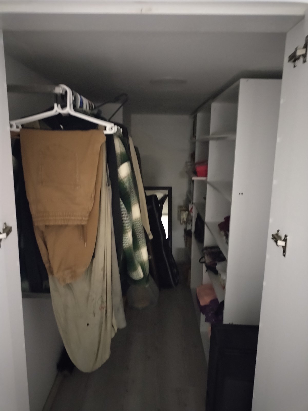 viber_image_2026-01-19_12-42-50-524