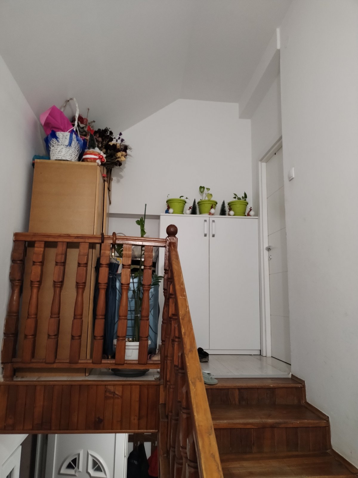 viber_image_2026-01-19_12-42-54-364