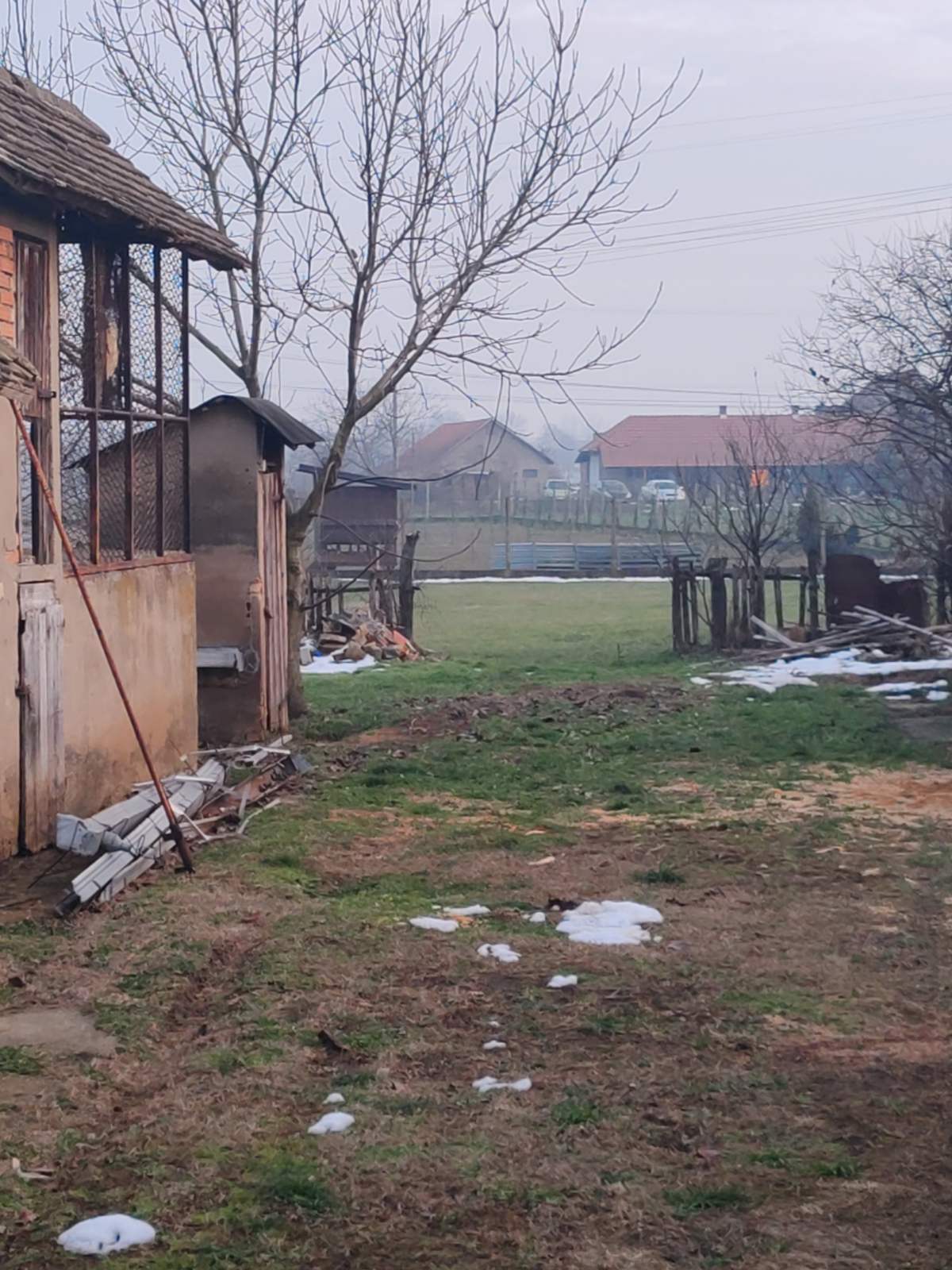 viber_image_2026-01-23_17-28-06-903