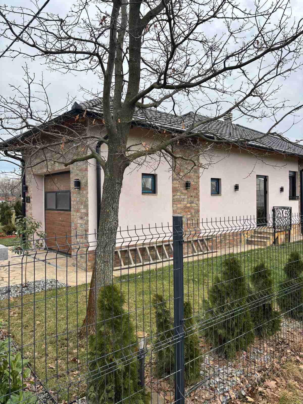 viber_image_2026-01-26_12-26-58-792