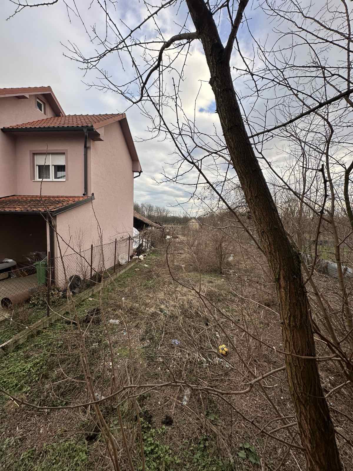 viber_image_2026-01-28_19-56-00-843