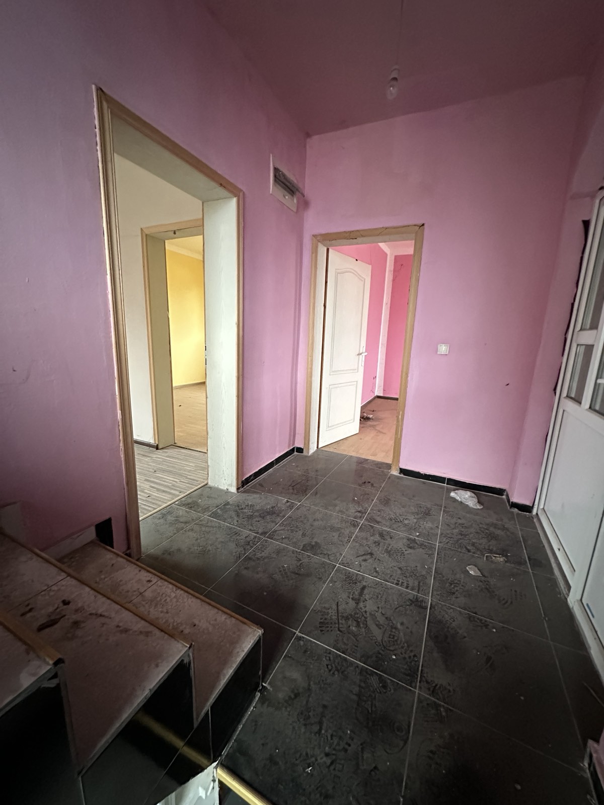 viber_image_2026-01-28_19-56-05-921