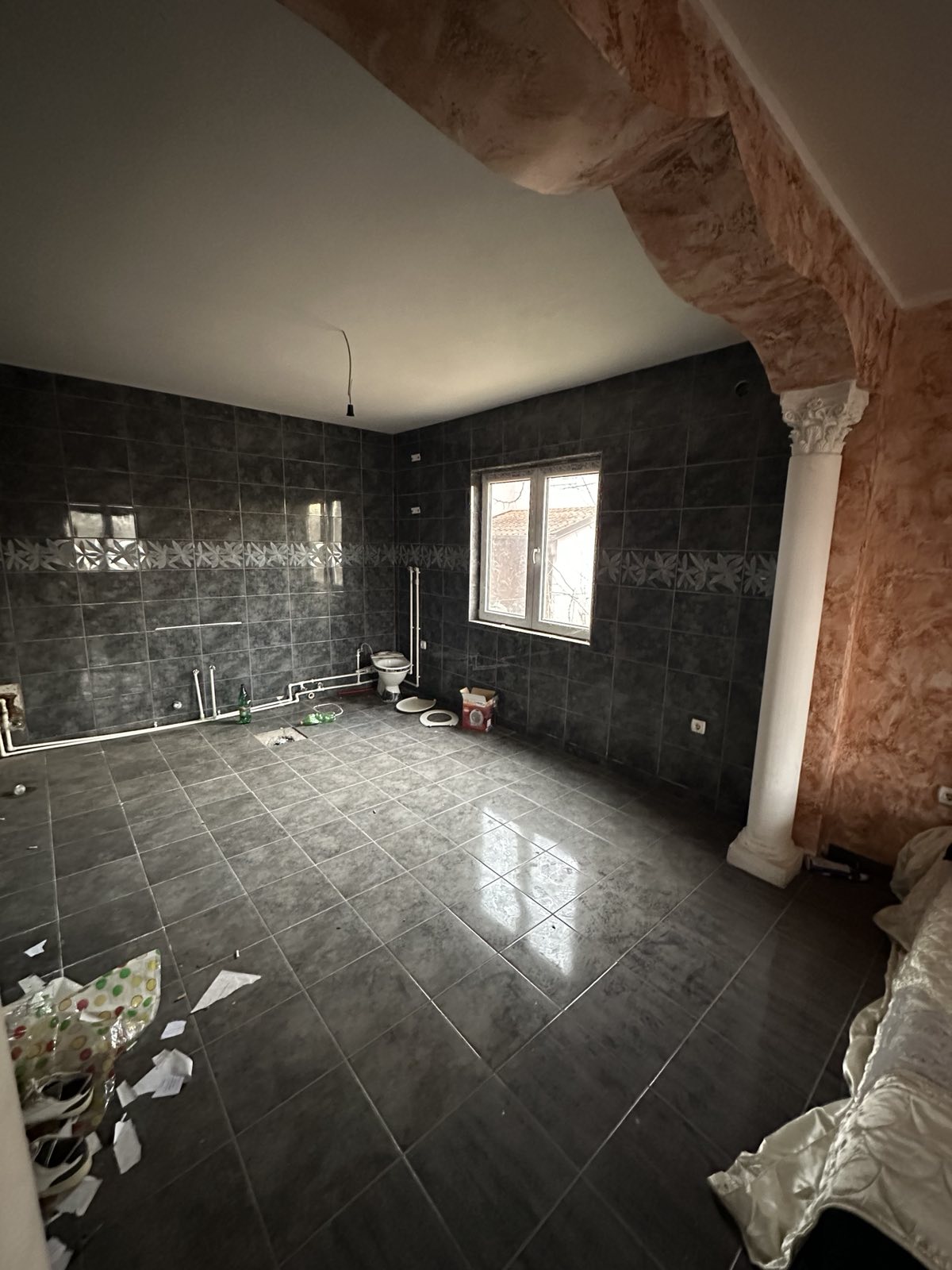 viber_image_2026-01-28_19-56-10-148