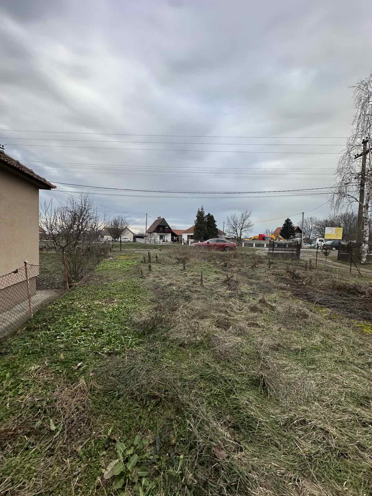 viber_image_2026-01-28_19-56-10-818