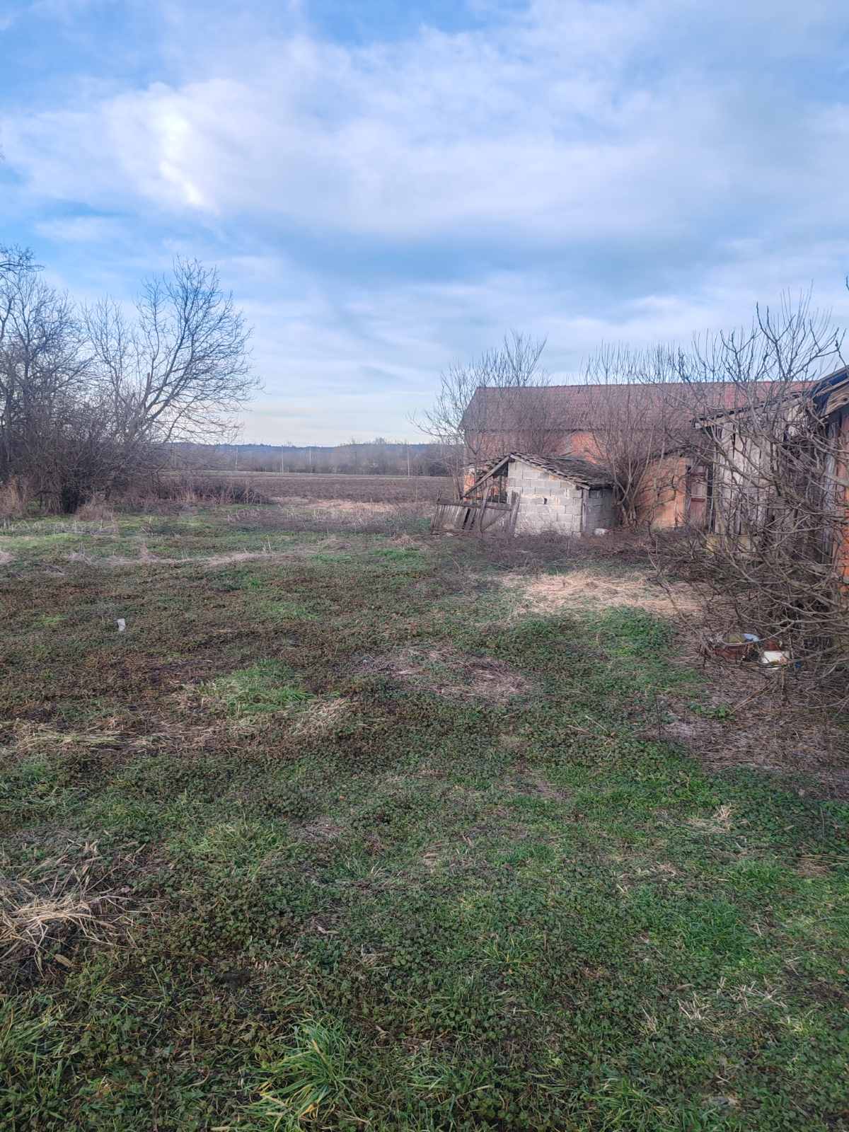 viber_image_2026-01-31_15-48-19-051