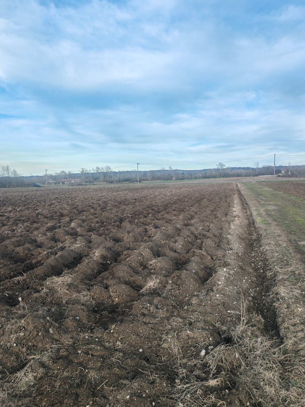 viber_image_2026-01-31_15-48-19-130