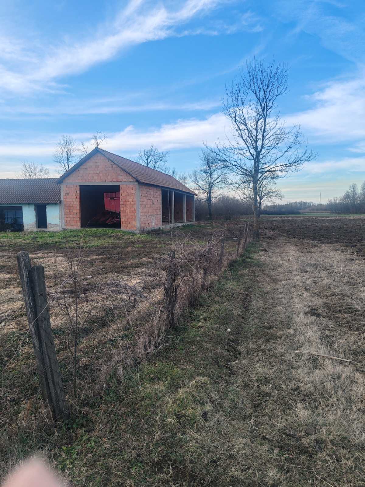 viber_image_2026-01-31_15-48-19-265