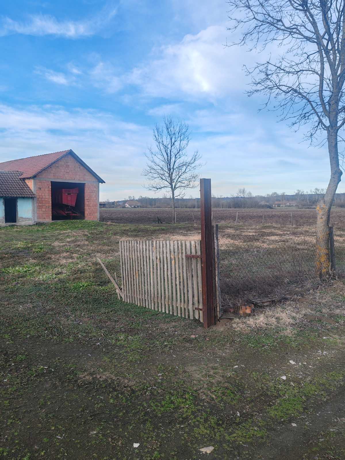 viber_image_2026-01-31_15-48-19-361