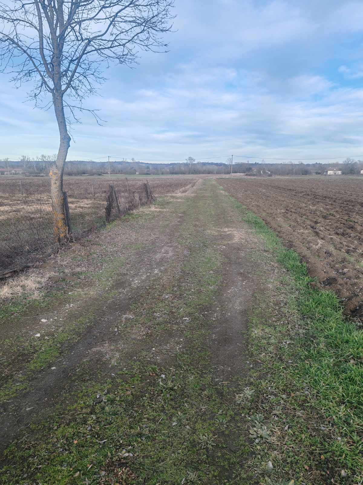 viber_image_2026-01-31_15-48-19-594