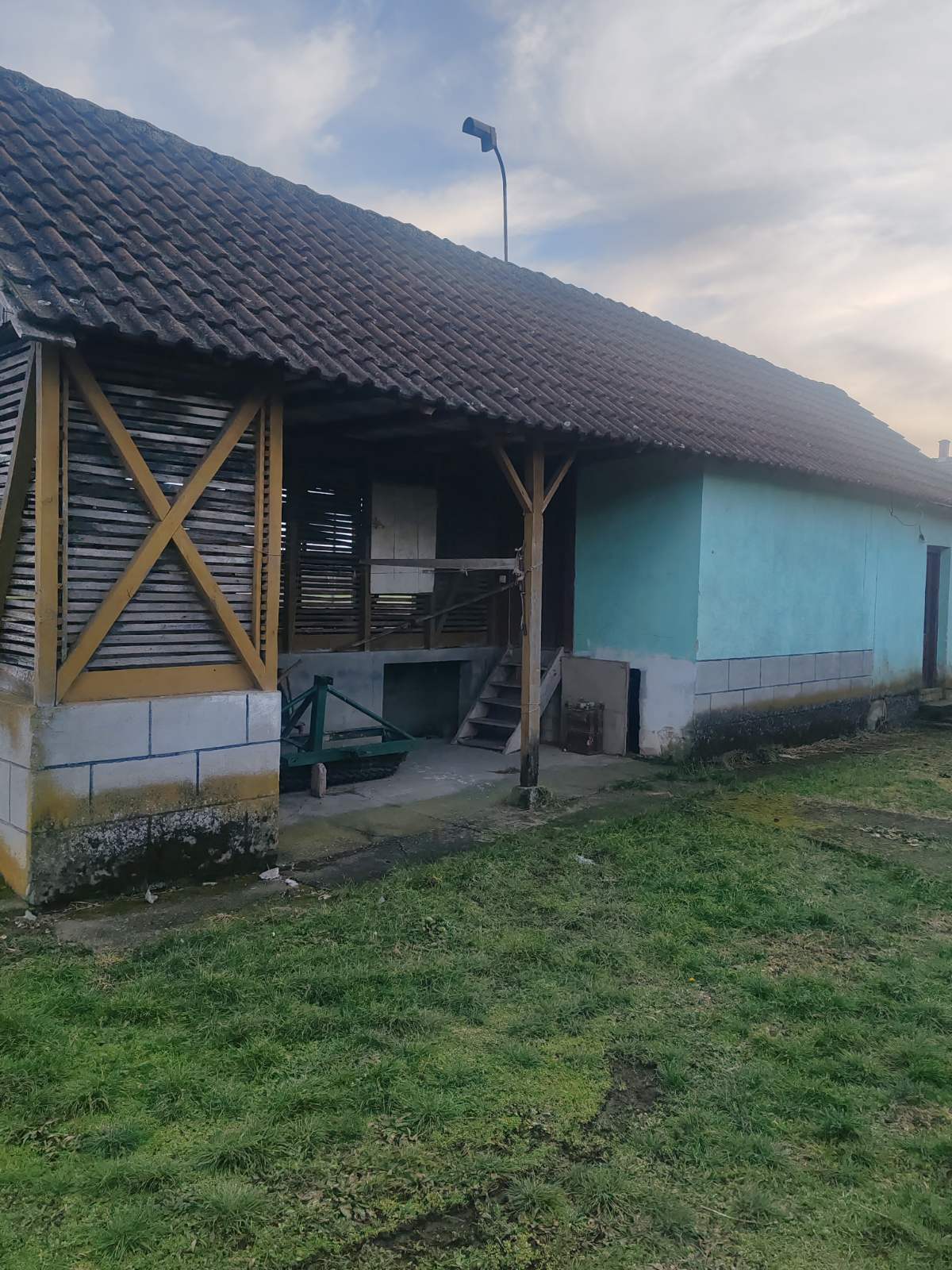 viber_image_2026-01-31_15-48-19-782