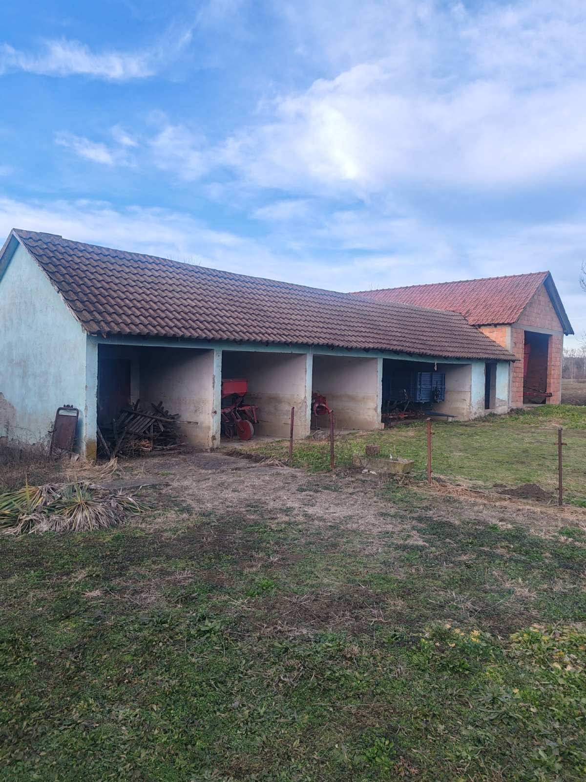 viber_image_2026-01-31_15-48-19-859