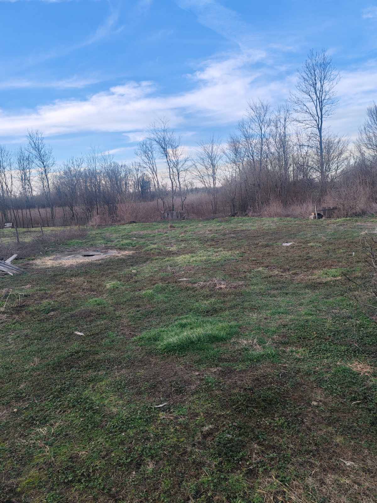 viber_image_2026-01-31_15-48-20-077