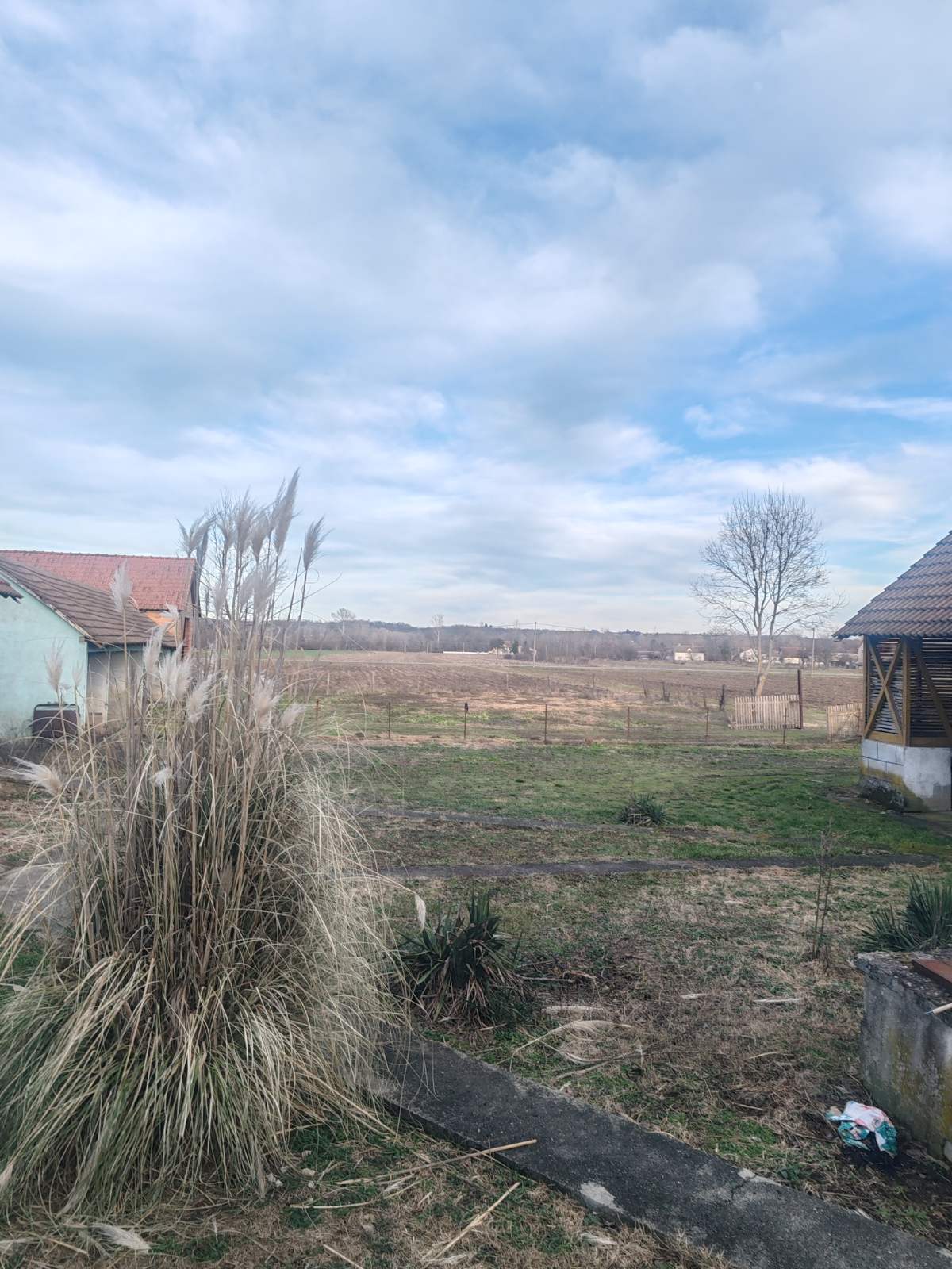 viber_image_2026-01-31_15-48-20-422