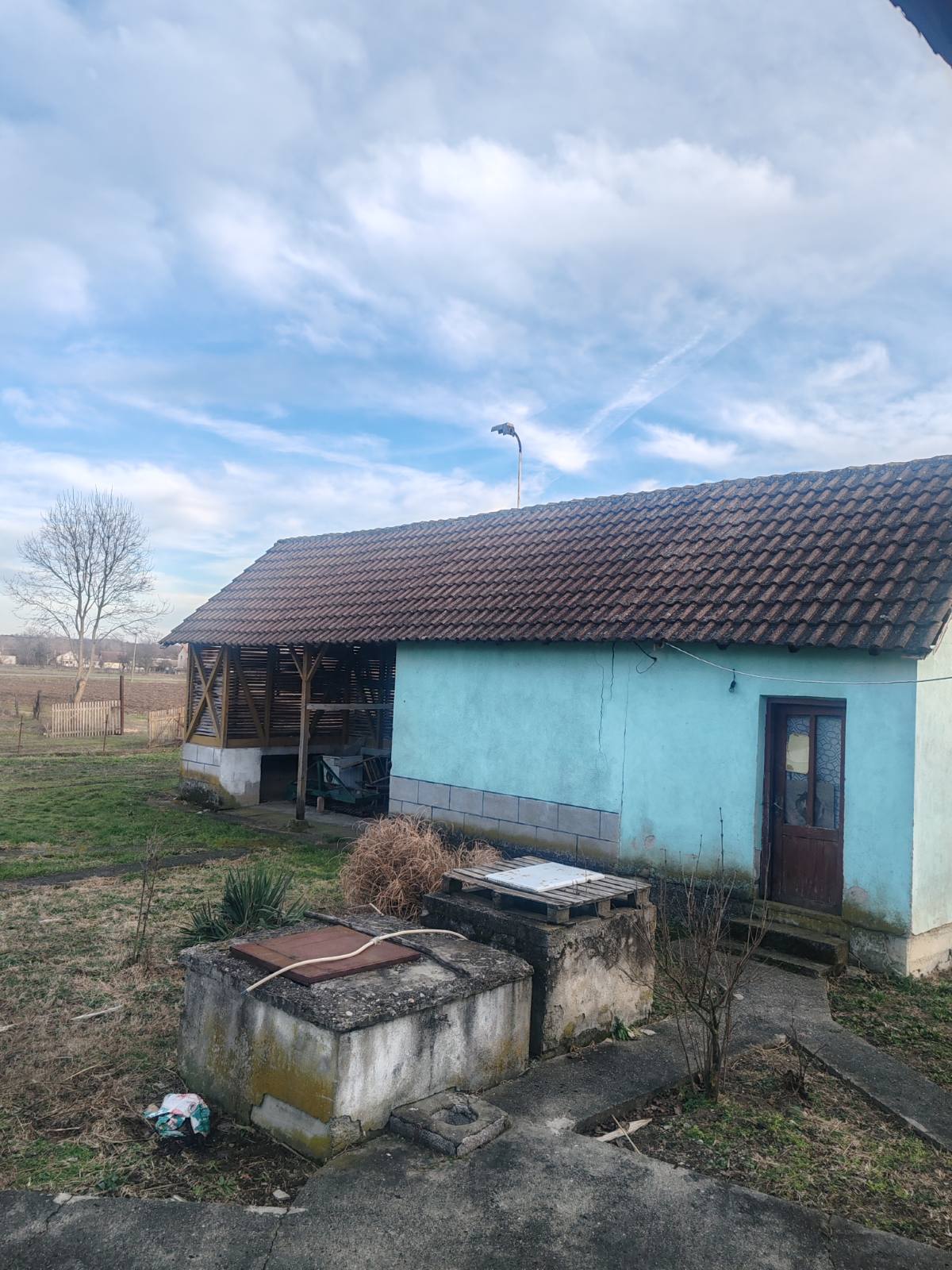 viber_image_2026-01-31_15-48-20-544