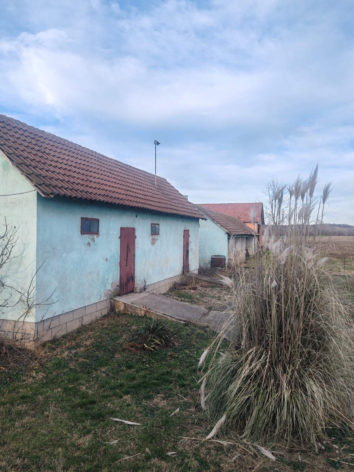 viber_image_2026-01-31_15-48-20-757