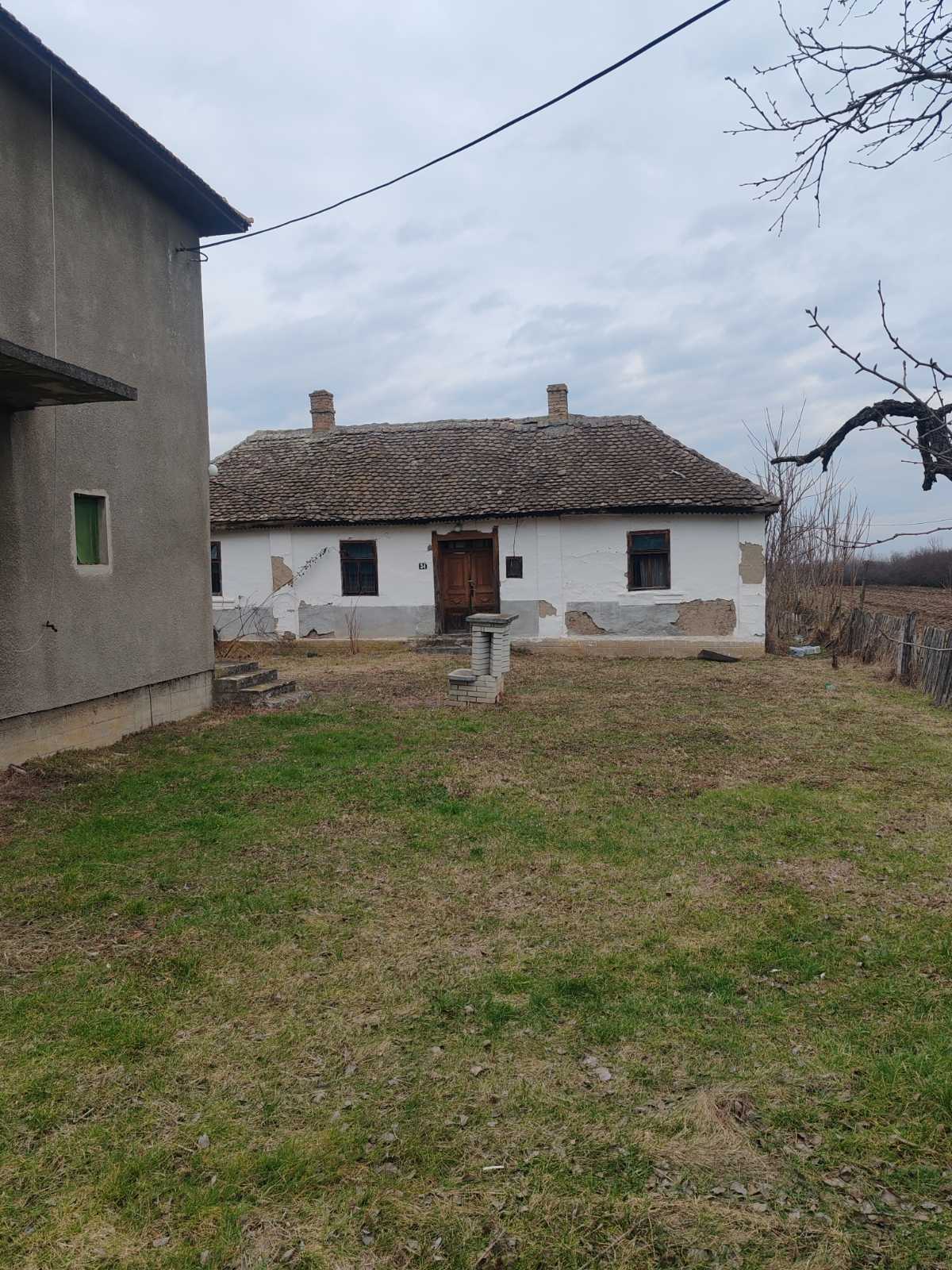 viber_image_2026-02-02_21-09-14-336