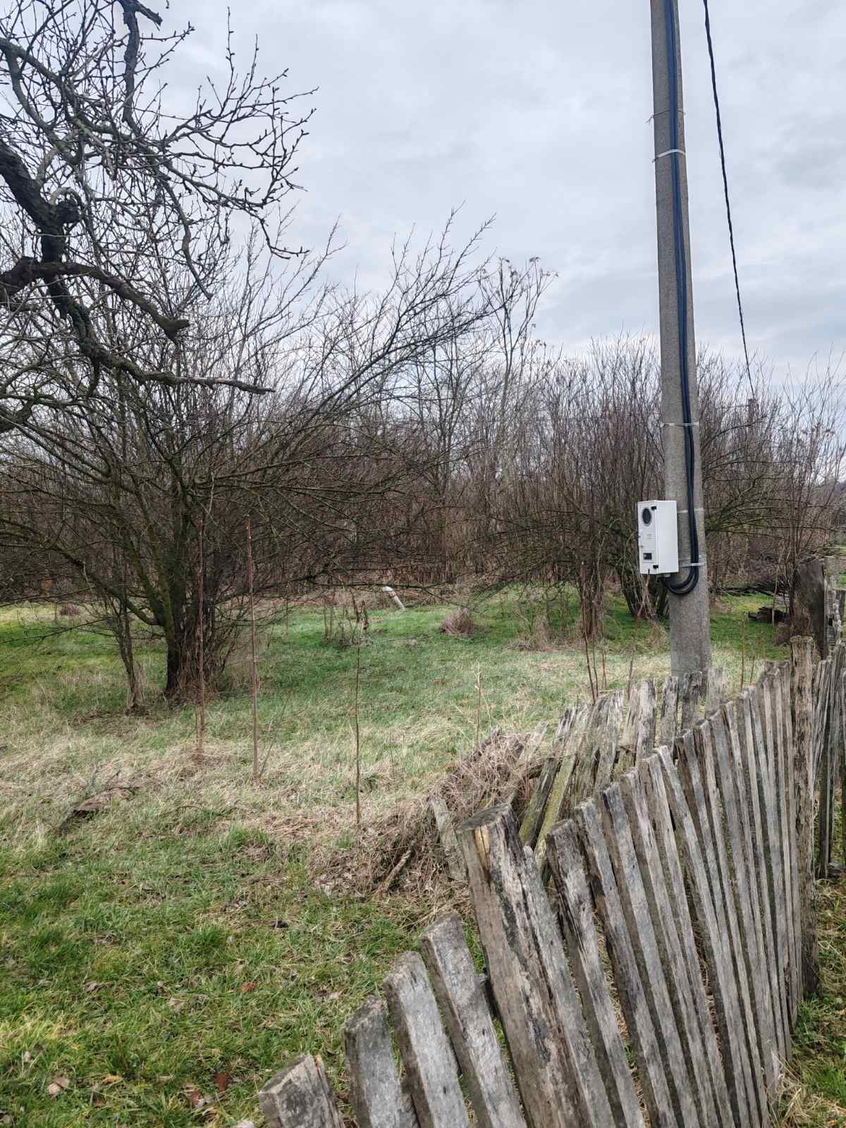 viber_image_2026-02-02_21-09-14-783