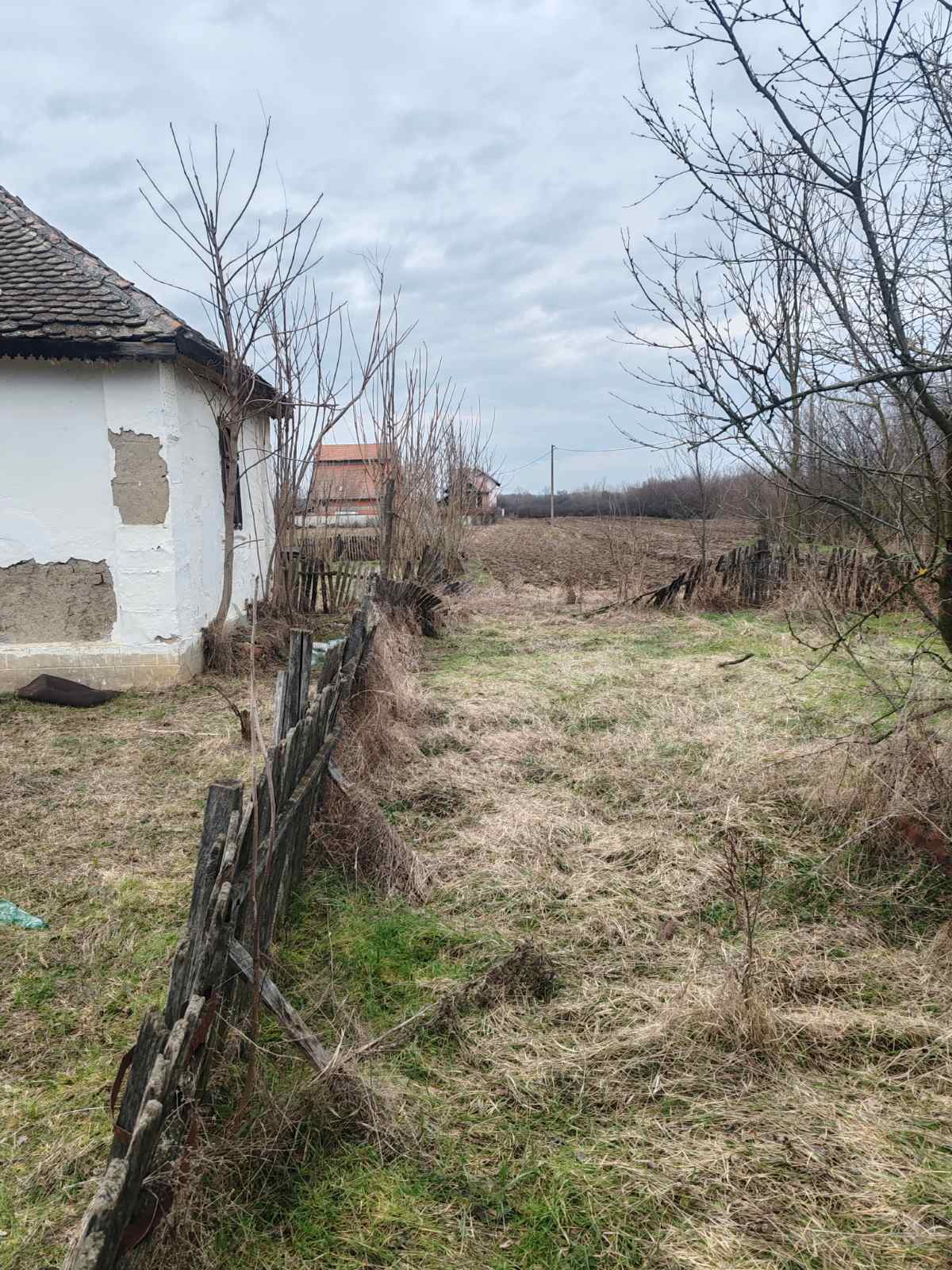 viber_image_2026-02-02_21-09-14-906