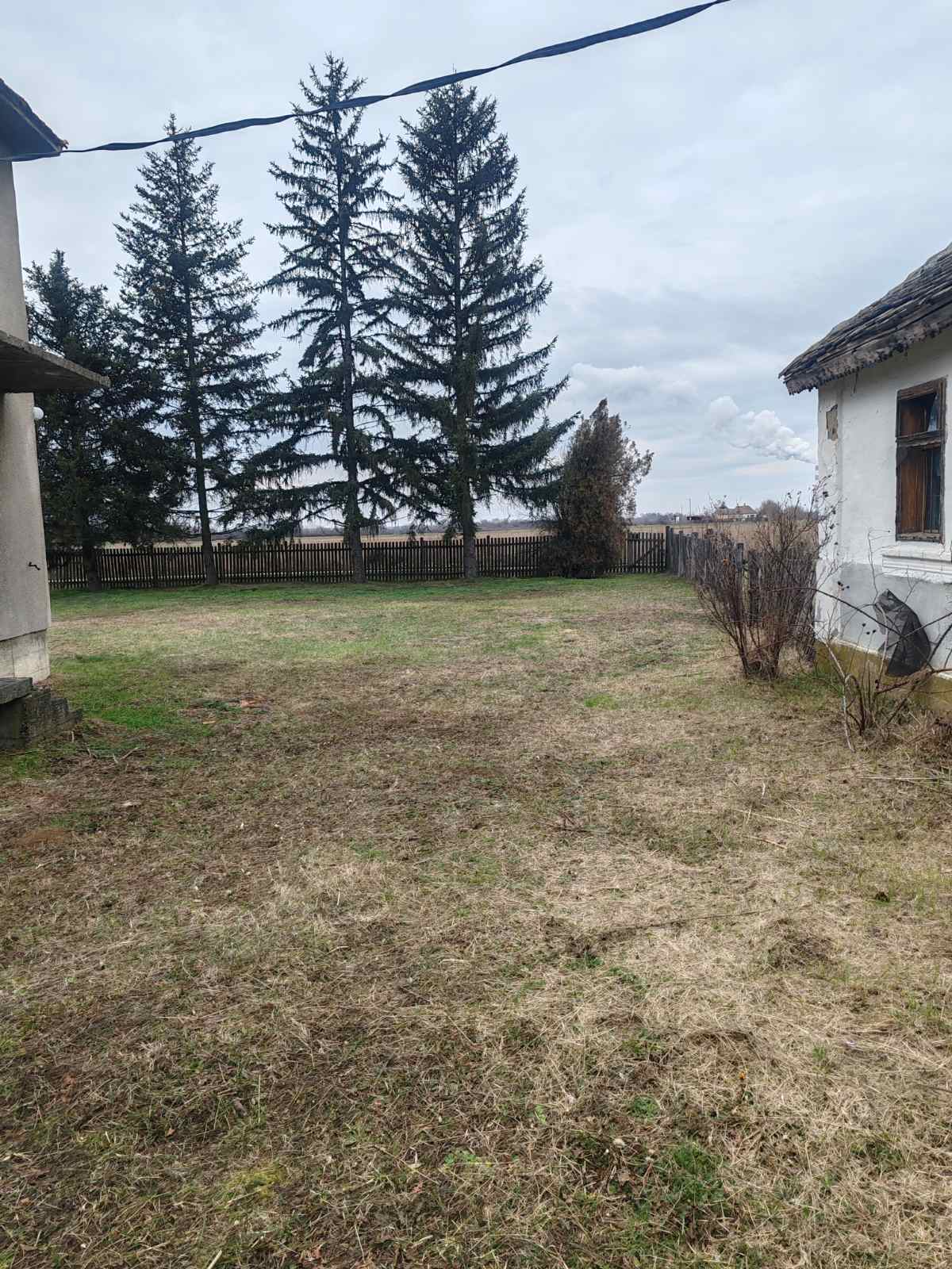 viber_image_2026-02-02_21-09-14-966