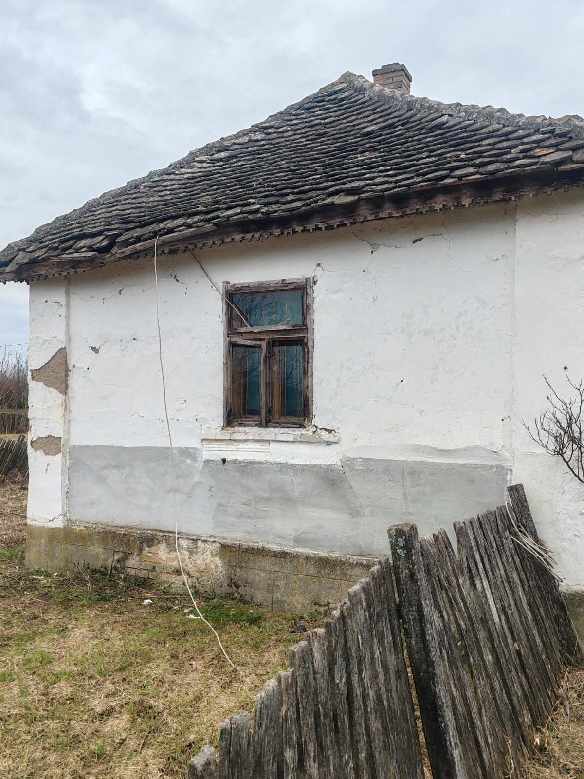 viber_image_2026-02-02_21-09-15-197