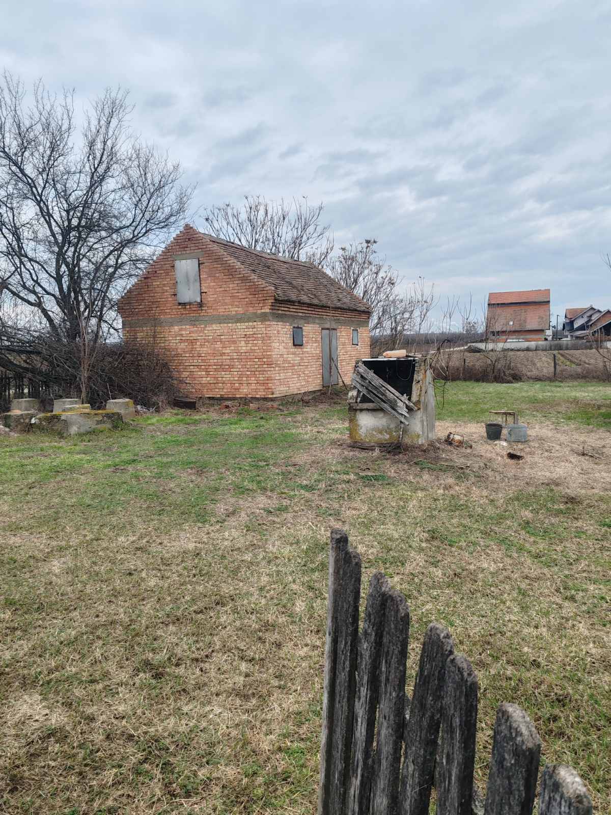 viber_image_2026-02-02_21-09-15-271