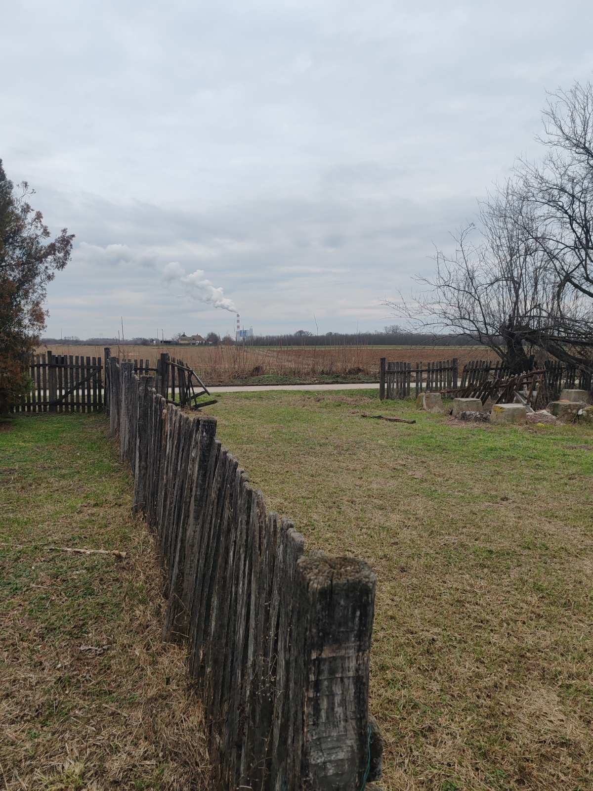 viber_image_2026-02-02_21-09-15-568