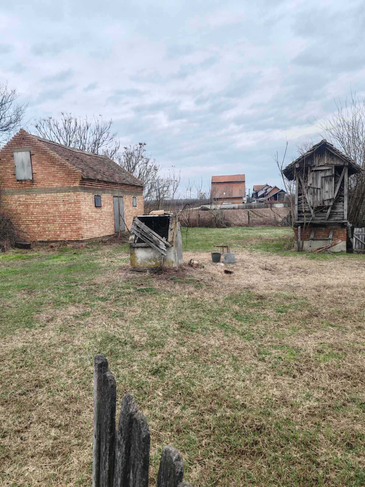 viber_image_2026-02-02_21-09-15-650