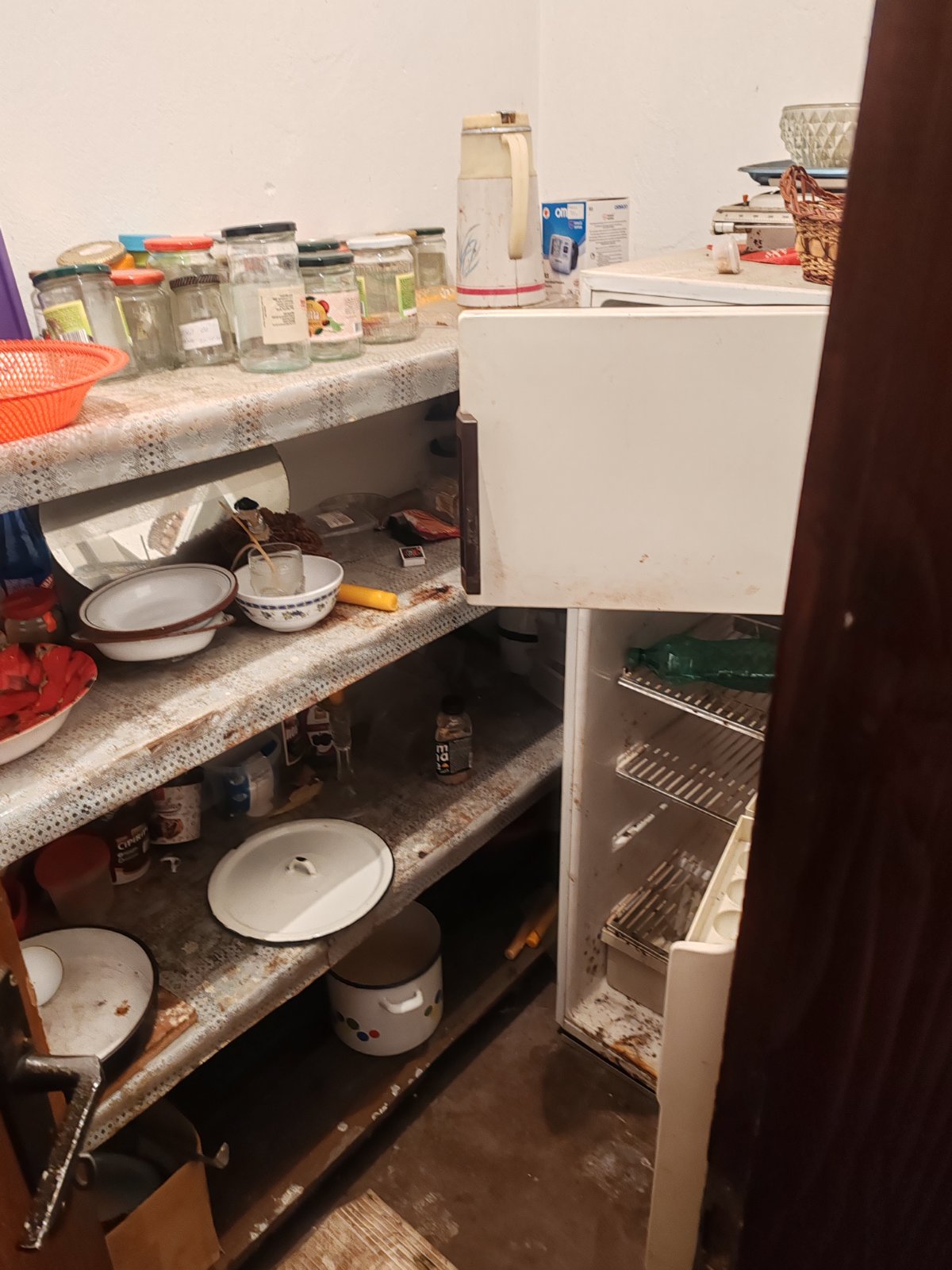 viber_image_2026-02-02_21-09-16-936