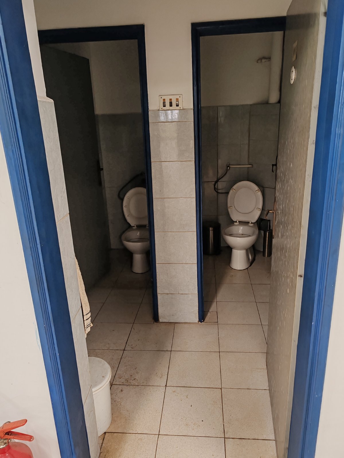 viber_image_2026-02-05_18-33-56-599