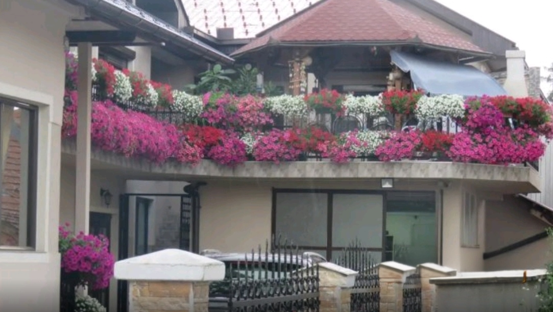 viber_image_2026-02-05_18-47-12-492