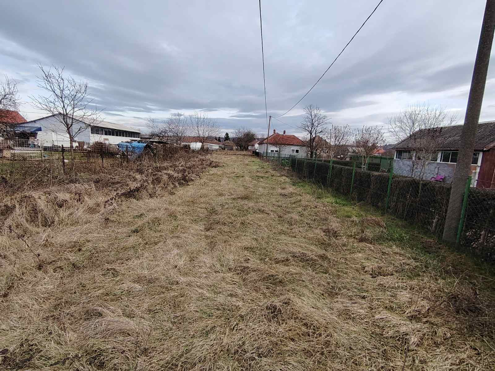 viber_image_2026-02-09_20-32-27-969