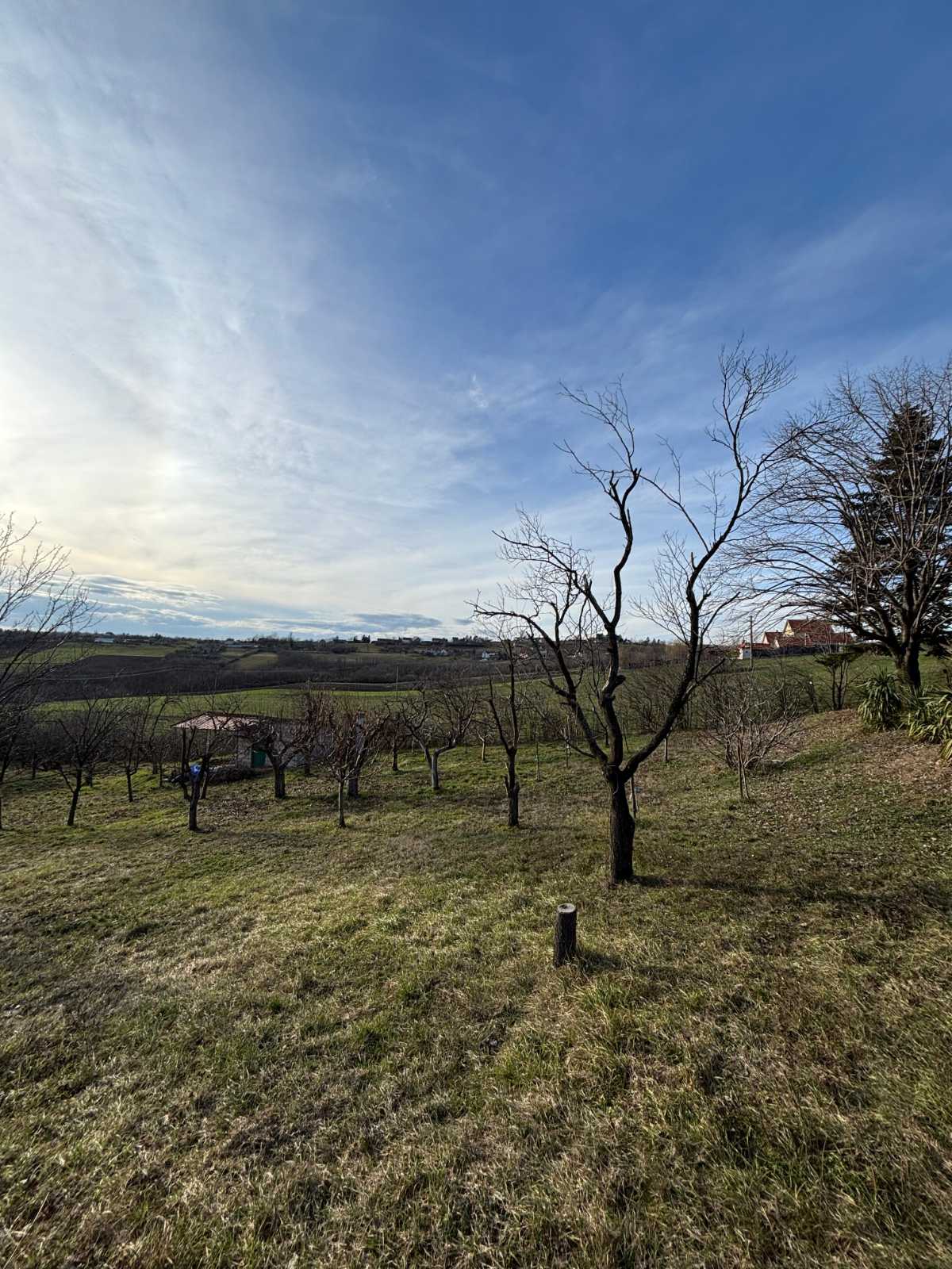 viber_image_2026-02-12_15-24-04-206