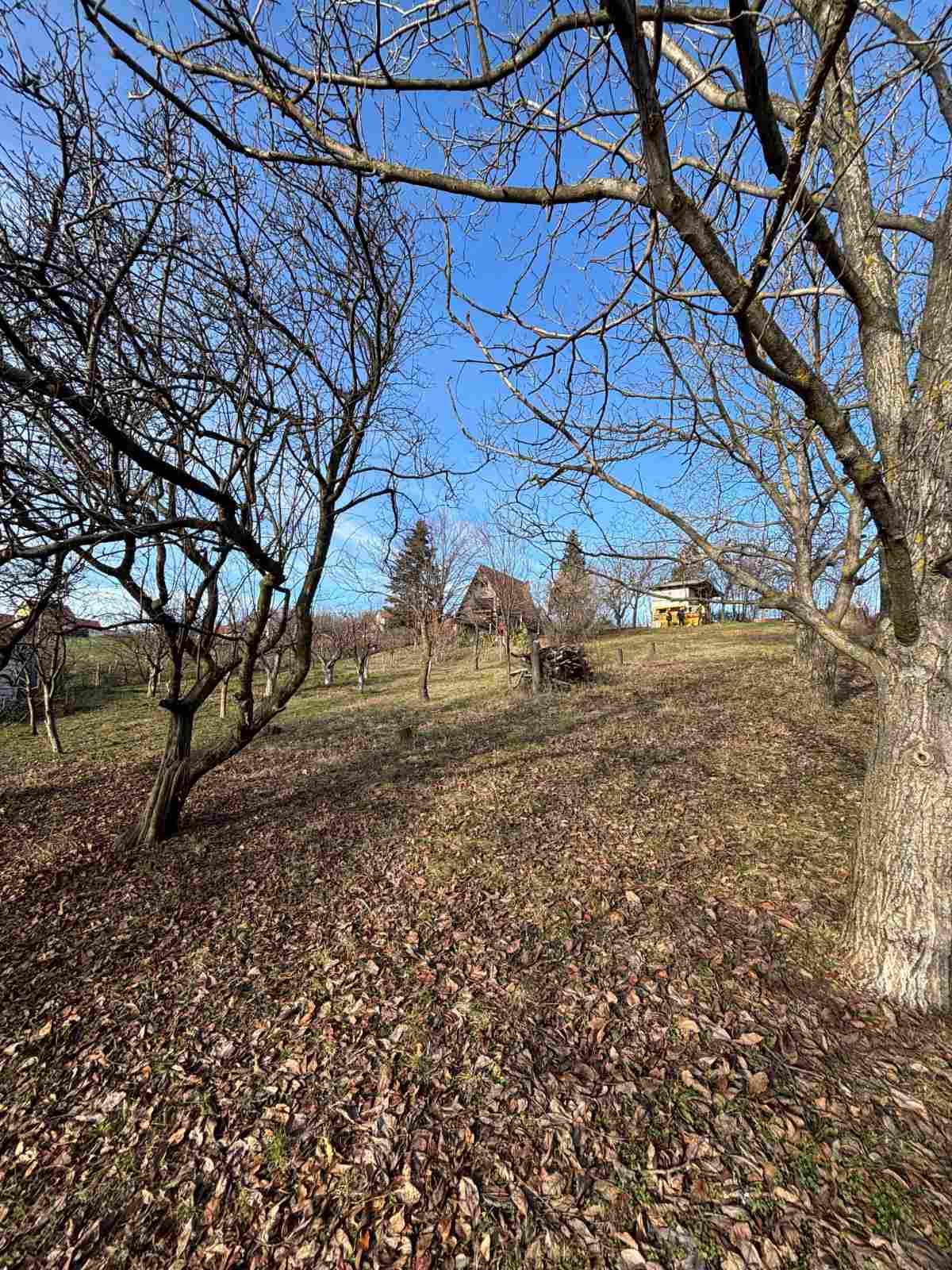 viber_image_2026-02-12_15-24-04-242