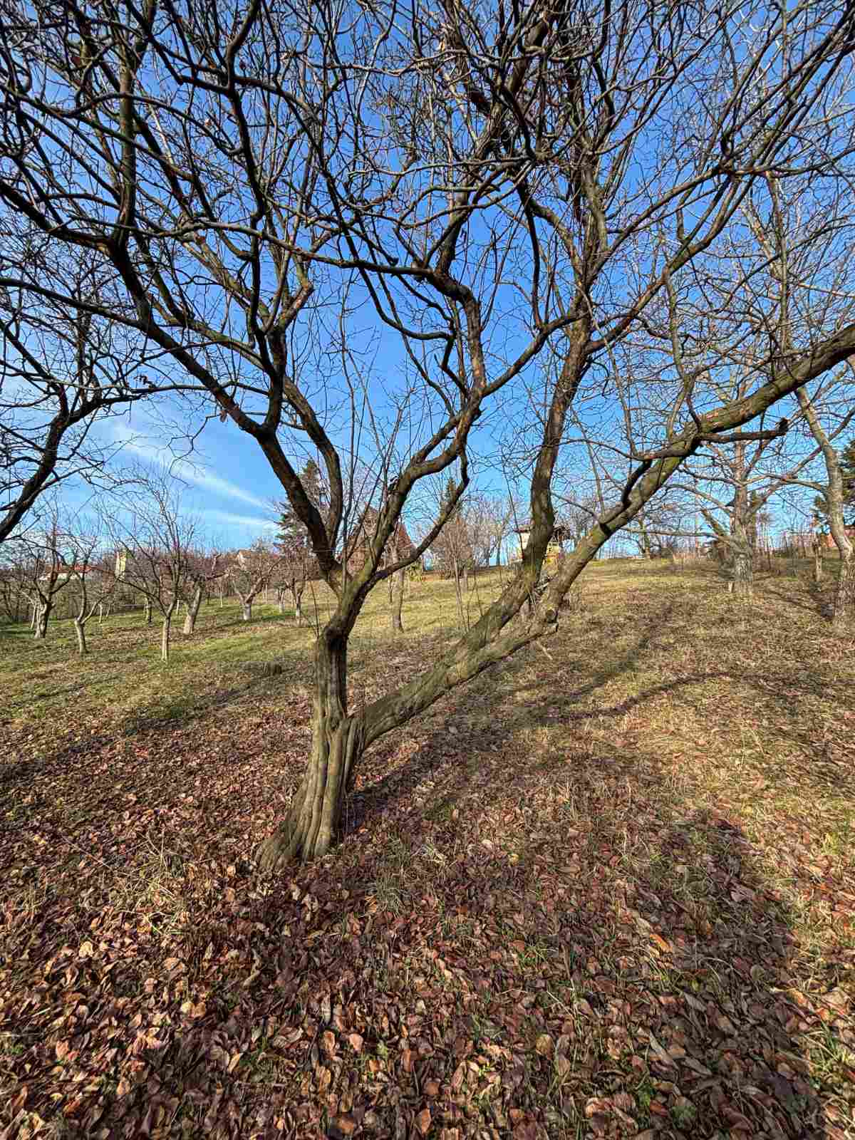 viber_image_2026-02-12_15-24-04-315