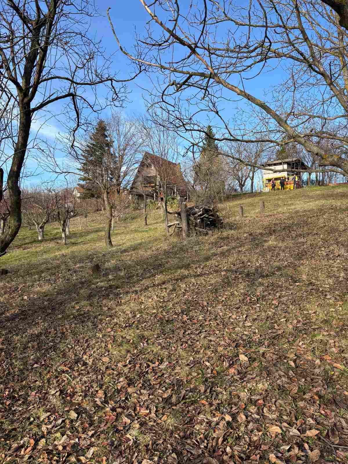 viber_image_2026-02-12_15-24-04-362