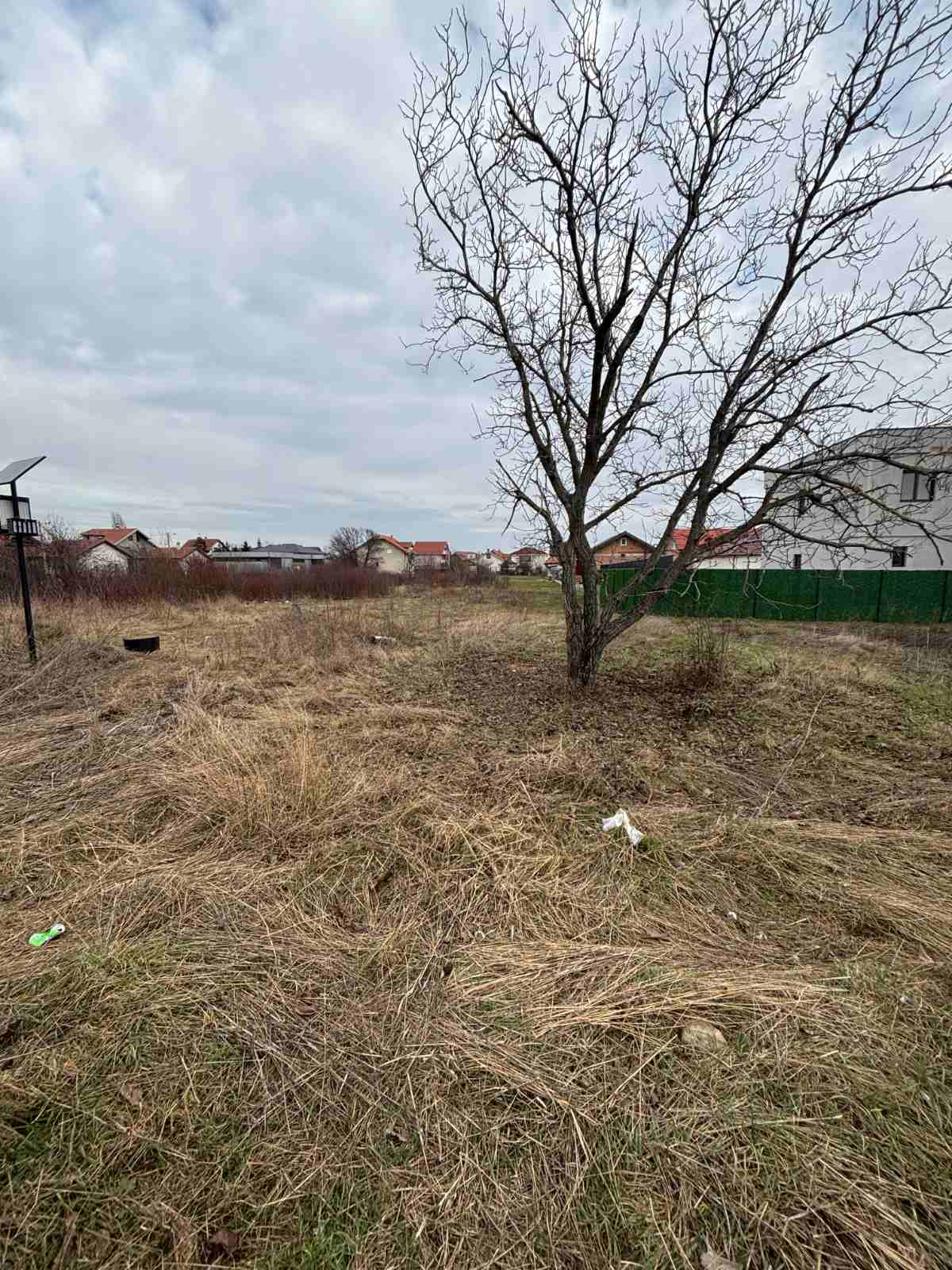 viber_image_2026-02-13_13-42-01-232