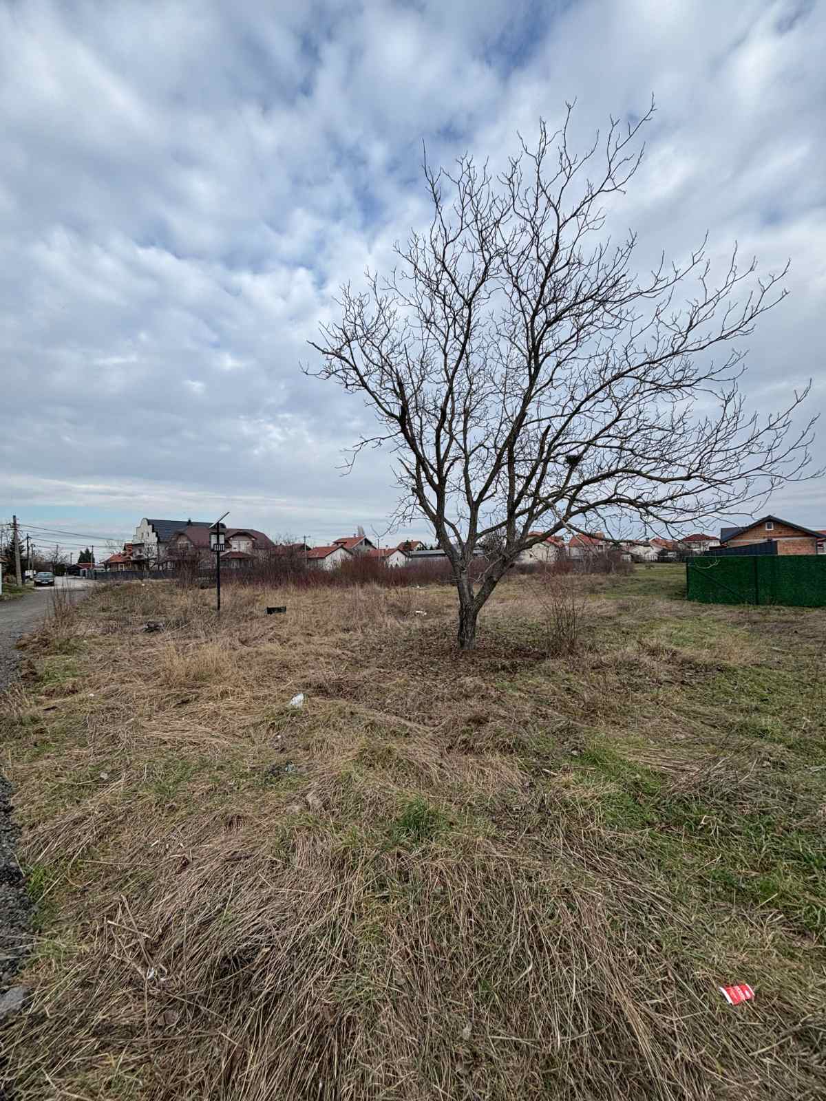 viber_image_2026-02-13_13-42-01-257