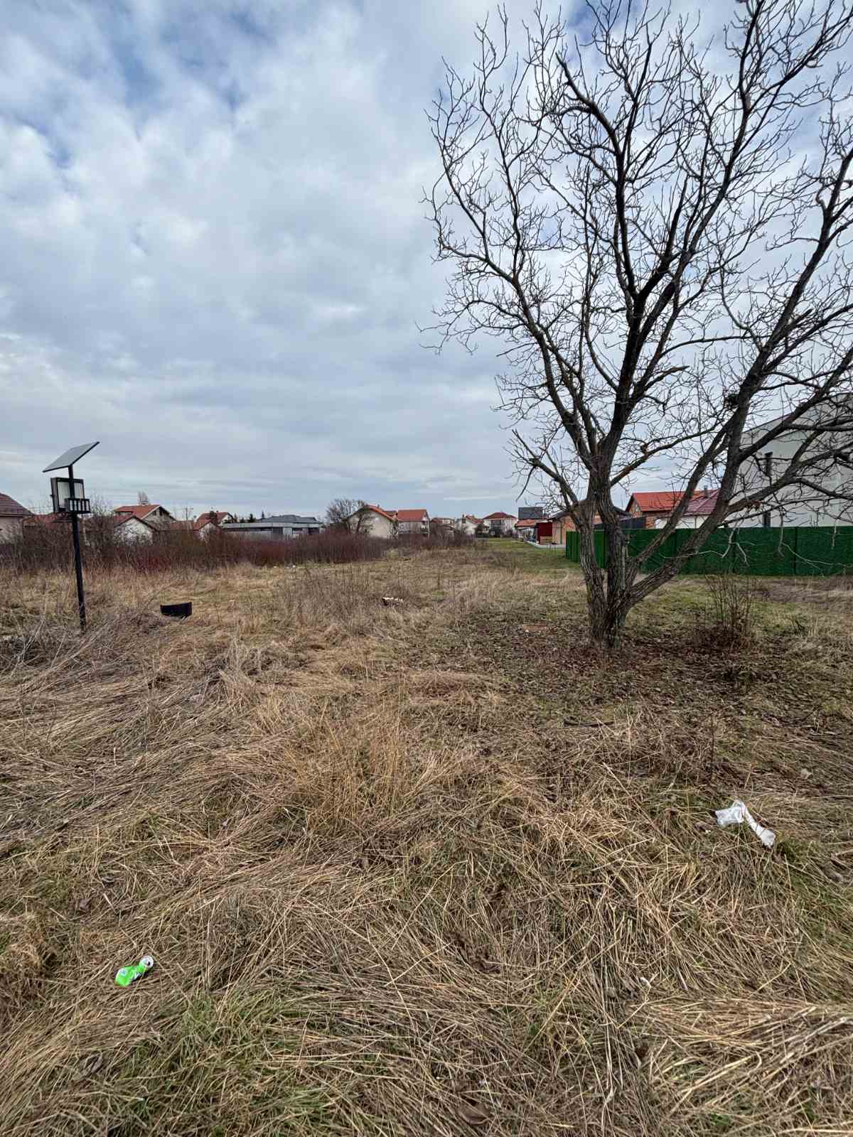 viber_image_2026-02-13_13-42-02-106