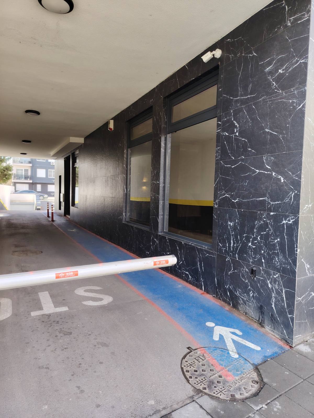 viber_image_2026-02-16_11-34-09-784